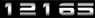 br.web-counter.net