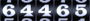br.web-counter.net